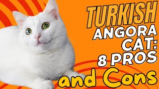 Turkish Angora Cat 8 Pros and Cons 🐾✨ [upl. by Salkin501]