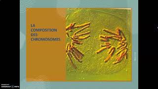 Composition et caractéristiques des chromosomes  chromatide chromatine nucléofilament et ADN [upl. by Arley]