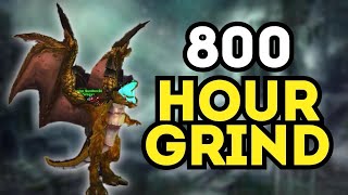 Farming Time Lost Proto Drake in 2024  Everything You Need To Know [upl. by Adaner739]