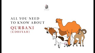 EVERYTHING YOU NEED TO KNOW ABOUT QURBANI UDHIYAH  EXPLAINED WITH ANIMATIONS  Mufti Maruf Ahmed [upl. by Ydnor]