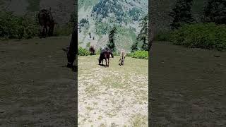 incredible Naran Kaghan Valley 2 [upl. by Yendyc]