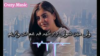 wali mayan shwale zargiya pa gham de rawalam  Slowed Reverb song  Crazy Music pashtosong [upl. by Bixler]