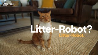 What is that LitterRobot Its a toilet for your cat [upl. by Ki]