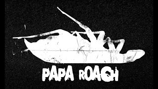 Papa Roach  I Almost Told You That I Love You  Rhythm Cover [upl. by Sorenson]