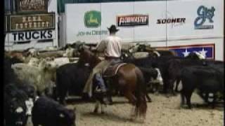 2002 NCHA Futurity Open Champion [upl. by Ferullo55]