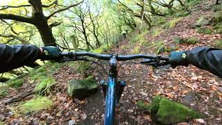 EXPLORING DELAMERE FORREST SECRET TRAILS  Mountain Bike  Ep13 [upl. by Arlee938]