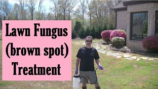 HOW TO Apply Fungicide to Treat Brown Spot in Your Lawn [upl. by Demah78]