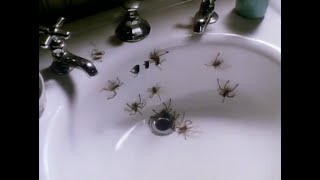 Arachnophobia 1990 Theatrical Trailer [upl. by Ffilc]