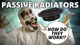 Passive Radiators Explained Basic Speaker Building Techniques [upl. by Wentworth]