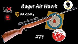 Ruger Air Hawk 177 20 Yard Shooting Test With JSB 1034gn Pellets [upl. by Malcah291]