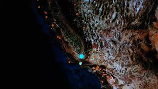 53 Earthquake California 30 Quakes now After This One amp Ongoing Watch For A Foreshock 872024 [upl. by Eiramave112]