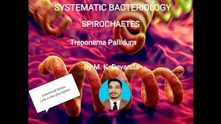 Treponema Pallidum Systemic Bacteriology Microbiology [upl. by Nedyarb]