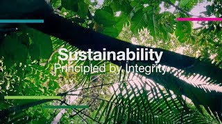 KLK OLEO Sustainability Principled by Integrity  JAN 2018 [upl. by Julieta]