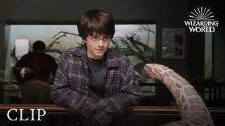 HD Harry Potter  Crying At Cedrics Death Harry potter and the Goblet of Fire [upl. by Aigil]