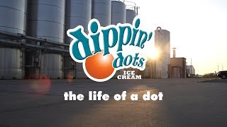 The Life of a Dot  How Dippin Dots are made [upl. by Innob904]