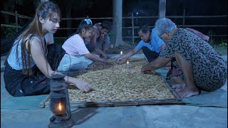 Natural areca catechu fruit prepare for my grandma  Polin Lifestyle [upl. by Aisinoid970]