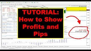 TUTORIAL iMarketsLive IML Forex Training  How to Show Profits and Pips [upl. by Shewchuk]