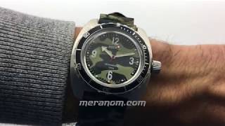 Vostok Amphibia 150B30 [upl. by Peacock]