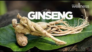 The health benefits of ginseng for stress energy and supporting a healthy libido [upl. by Yarrum]