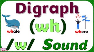 DIGRAPH wh  READING Words amp Sentences with w Sound Spelt as WH  Liy Learns Tutorial [upl. by Brand]