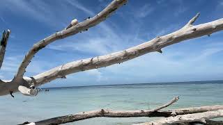 Longboat Key Beach Walk [upl. by Patterson833]