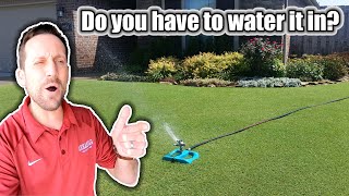 Do lawn fertilizers amp weed herbicides have to be watered in  How To Apply Fertilizer amp Herbicides [upl. by Ottie89]