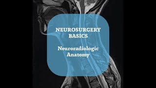 Neurosurgery Basics Lecture  Neuroradiologic Anatomy Part 2 [upl. by Eissel]