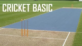 Cricket Basic Parameters  Cricket Fielding Positions  Batting Shots in Cricket [upl. by Allene]