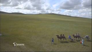 Faut Pas Rêver en Mongolie Teaser [upl. by Eide255]