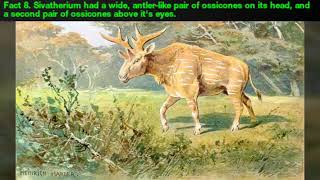 21 Facts about Sivatherium [upl. by Chang]