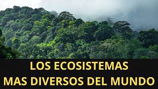 Los Ecosistemas más Diversos del Mundo De la Amazonía a los Arrecifes de Coral [upl. by Bundy]