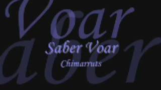 Saber Voar  Chimarruts Letra [upl. by Craw]