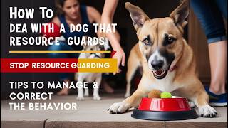 How to Handle a Dog That Resource Guards Tips amp Techniques [upl. by Ilyse859]