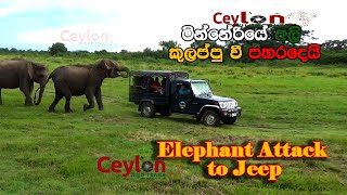 elephant attack to jeep minneriya [upl. by Omsare]