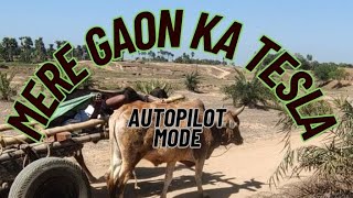 Mere Gaon Ka Tesla Autopilot mode me chalta hai 😎 [upl. by Phia]