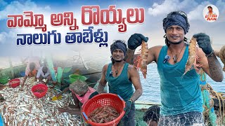 వామ్మో అన్ని రొయ్యలు నాలుగు తాబేళ్లు 😱 local Boi Nani 🦐 [upl. by Silsby403]