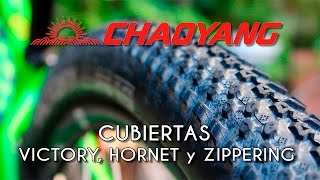 Probando las cubiertas CHAOYANG de 29 pulgadas [upl. by Keavy]