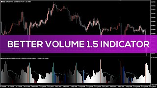 Better Volume 15 Indicator for MT5  BEST REVIEW [upl. by Reifel]