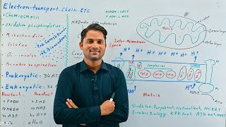 Electron transport chain Chemiosmosisoxidative phosphorylation Respiration Hindi UrduProSuresh [upl. by Jezabelle]