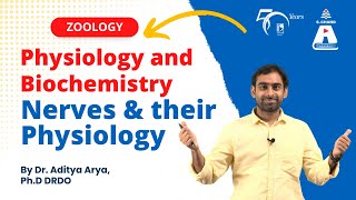 Physiology and Biochemistry  Nerves and Their Physiology  Zoology  S Chand Academy [upl. by Sueddaht768]