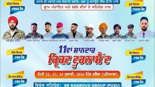 Chailala Cricket Tournament Patiala Pind2Bharo 2nd Day GhanaurSports1313 [upl. by Narat]