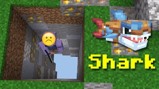 Trapping Hive Skywars Players With A Shark [upl. by Yslek210]