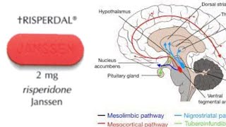 Risperdal Risperidone  How it Works Why its Used and Side Effects [upl. by Flight]