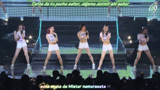 KARA Mister 2nd Karasia Japan tour 2013 karaokesub español [upl. by Harberd542]