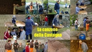 LA CANZONE DELLA CASTAGNA  Romantici Vag [upl. by Esorylime]