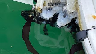 Electrolysis damage to outboard support brackets [upl. by Clemmy]