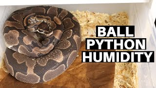 Managing Humidity For Ball Python Enclosures  Benjamins Exotics [upl. by Sucramaj]