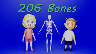 The Bones Song  Kids Science and Anatomy humanbody [upl. by Sicnarf783]