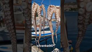 FRESH OCTOPUS GREEK TAVERNA OFFERS SEAFOOD Kalimera Greece Summer Holiday octopus greece taverna [upl. by Alidia]