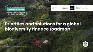 Priorities and solutions for a global biodiversity finance roadmap [upl. by Minor]